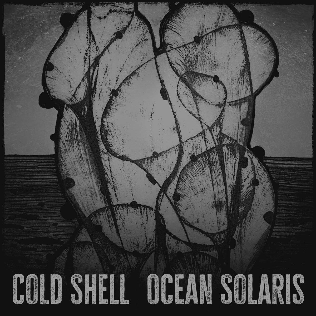 Cold Shell unleashes »Ocean Solaris«, a bleak, industrial-soaked sludge ...