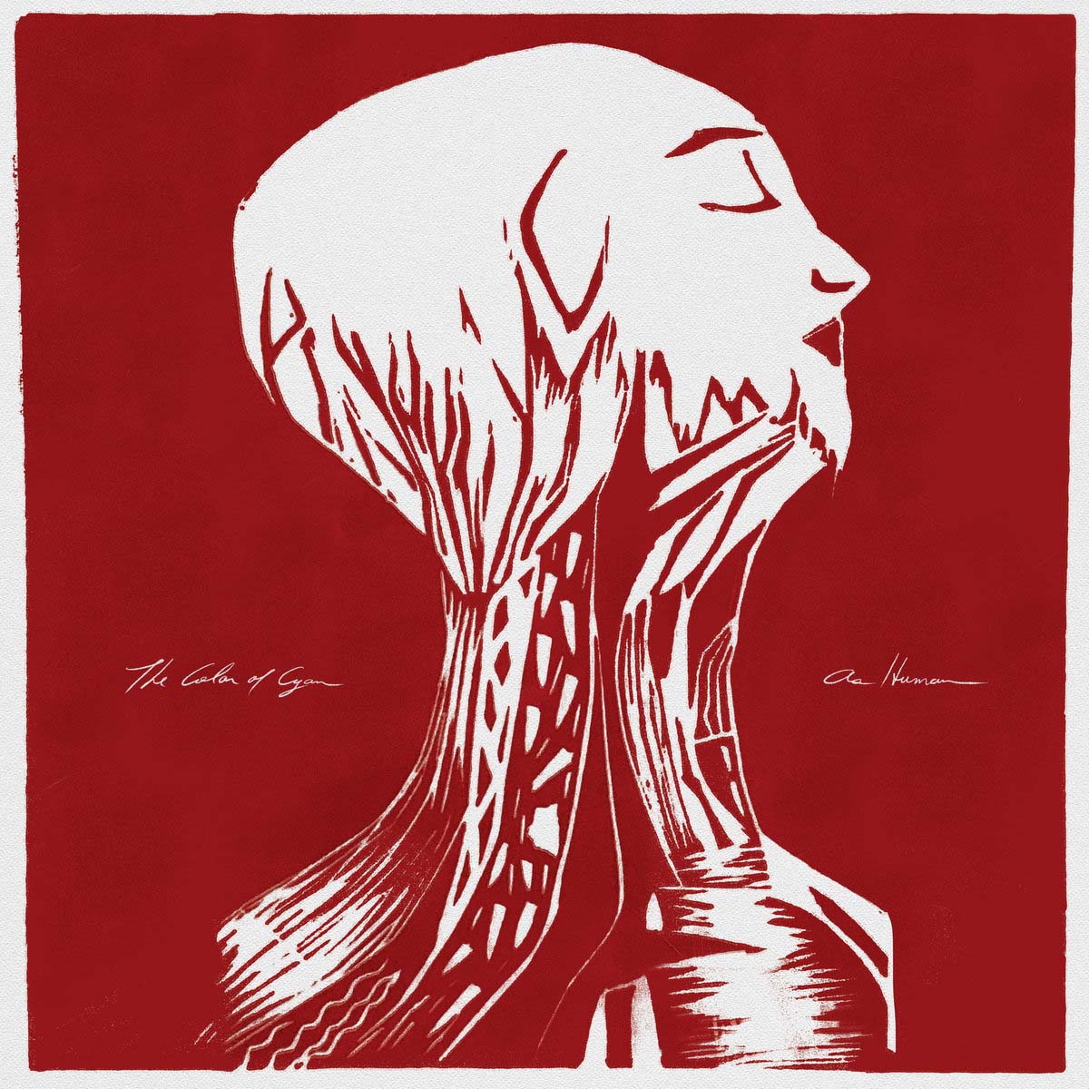 Color Merging US cinematic post-rockers The Color Of Cyan stream new studio album »As ...